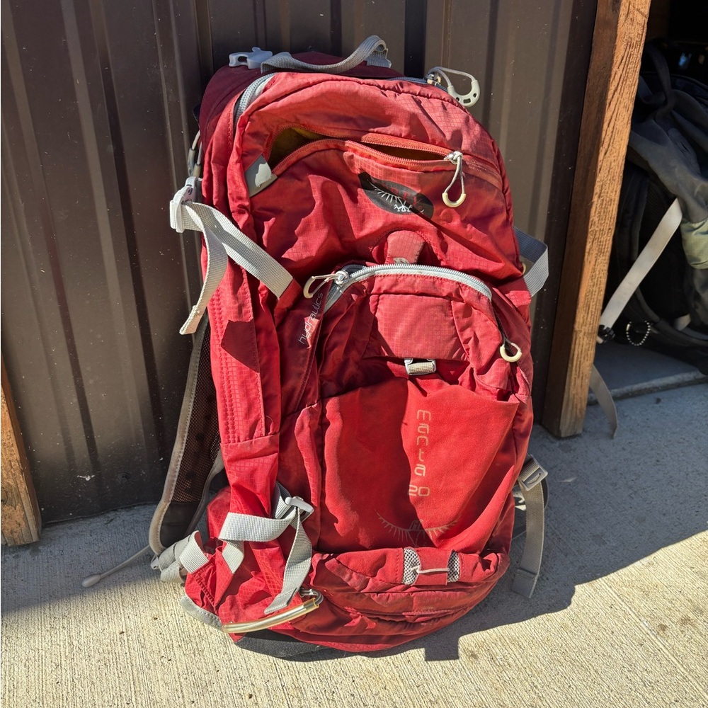 Red Men's Backpack